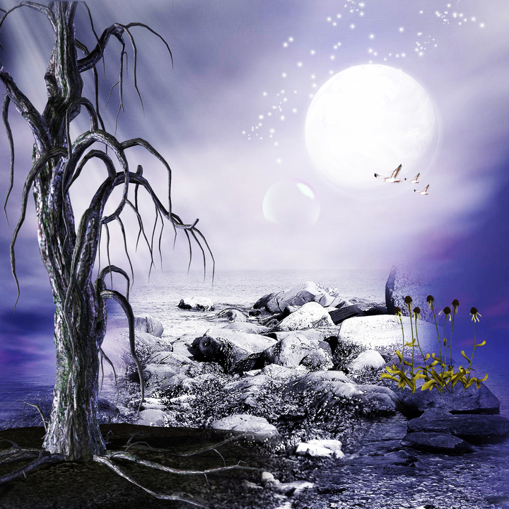 Bộ 2 tranh trang trí tường hình phong cảnh đêm trăng tròn 43895 -  